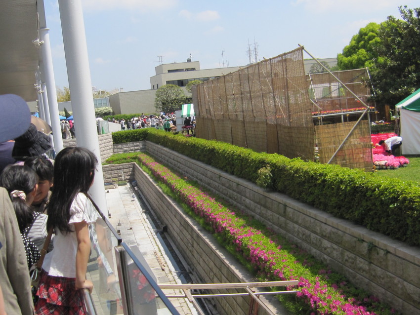 植木祭り 003