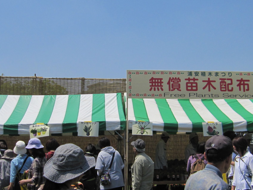 浦安植木まつりは 今年も大盛況でした 株式会社アールデザイン